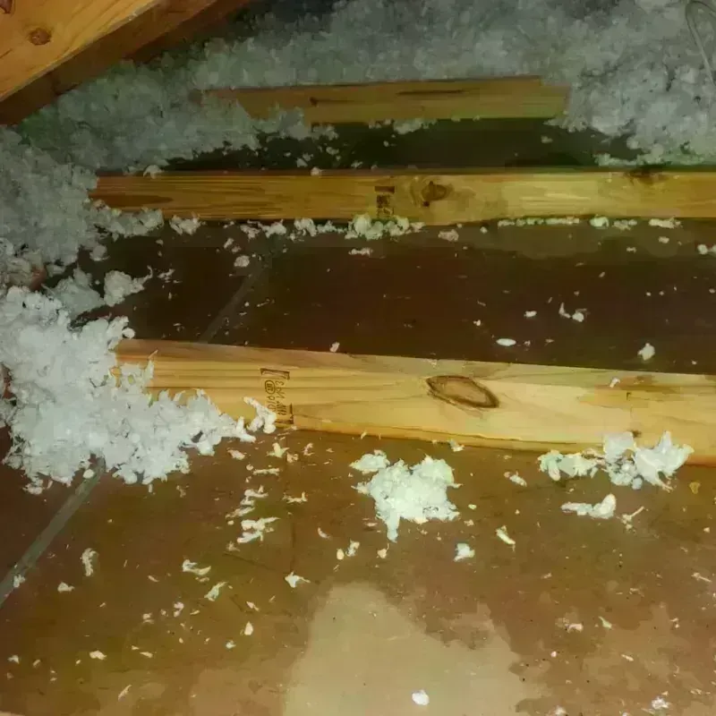 Attic Water Damage in Hartford, KY